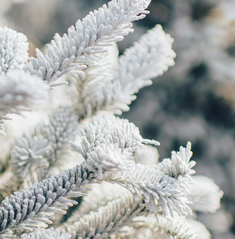 Calendar winter img